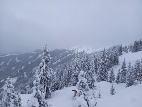 ZellamSee2023_030