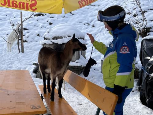 ZellamSee2023_042