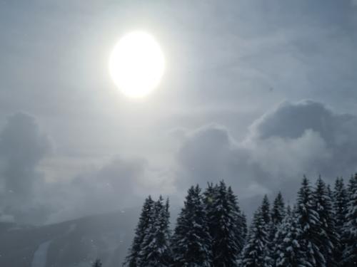 ZellamSee2023_070